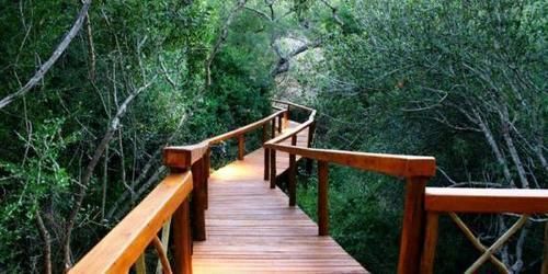 Lion Tree Top Lodge โฮดสปรูท ภายนอก รูปภาพ
